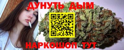индика Камышлов