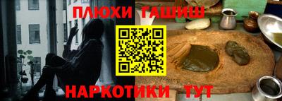 индика Камышлов