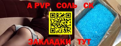 индика Камышлов